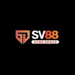Foto del perfil de SV88 SPACE