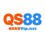 Foto del perfil de Qs88vip net
