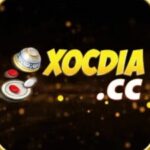 Foto del perfil de Xóc Đĩa