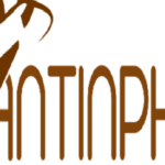 Foto del perfil de guihangdimy AnTinPhatExpress