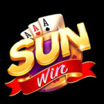 Foto del perfil de sunwintv