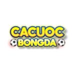 Foto del perfil de Cá cược bóng đá bóng đá