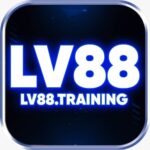 Foto del perfil de Lv88 training