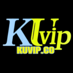 Foto del perfil de Kuvip Co
