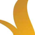 Foto del perfil de Vinhomes Global Sportia