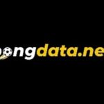 Foto del perfil de Bong data