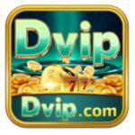 Foto del perfil de Dvip apk