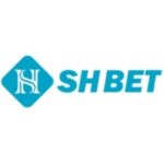 Foto del perfil de shbetknet
