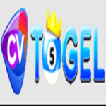 Foto del perfil de cvtogel
