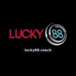 Foto del perfil de LUCKY88 COACH