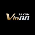 Foto del perfil de VIN88 zacom