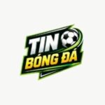 Foto del perfil de Tinbongda tech