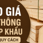 Foto del perfil de Tâm Thịnh Wood