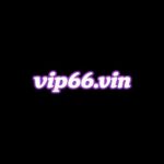 Foto del perfil de VIP66