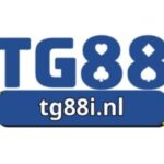 Foto del perfil de Tg88i nl