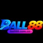 Foto del perfil de Ball88