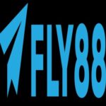 Foto del perfil de FLY88