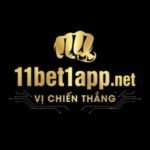 Foto del perfil de nhà cái 11bet