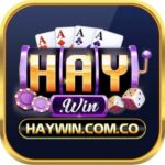 Foto del perfil de Haywin