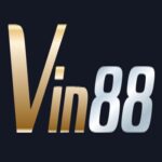 Foto del perfil de Vin88
