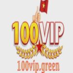 Foto del perfil de 100VIP