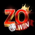 Foto del perfil de Zowin