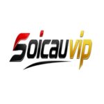 Foto del perfil de SOICAUVIP