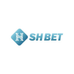 Foto del perfil de SHBET