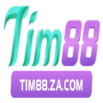 Foto del perfil de TIM88