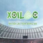Foto del perfil de Xoilac TV Trực tiếp bóng đá