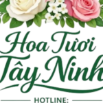 Foto del perfil de HOA TƯƠI TÂY NINH