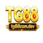 Foto del perfil de TG88