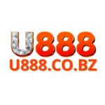 Foto del perfil de U888