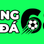 Foto del perfil de Bóng Đá Việt Nam