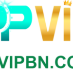 Foto del perfil de ppvipbn com