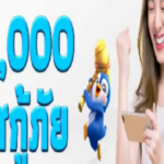 Foto del perfil de WINBOX casino