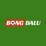 Foto del perfil de bongdalu11net