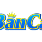 Foto del perfil de banca30