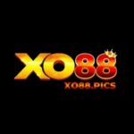 Foto del perfil de Nhà cái XO88