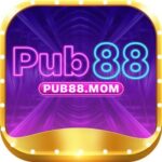 Foto del perfil de pub88mom