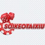Foto del perfil de Soi Kèo Tài Xỉu