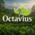 Foto del perfil de Octavius Tea Resorts