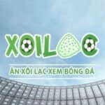 Foto del perfil de Xoilac Z Trực Tiếp Bóng Đá