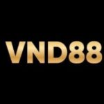 Foto del perfil de VND88