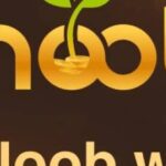 Foto del perfil de noobwin