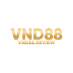 Foto del perfil de VND88