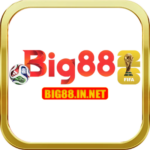 Foto del perfil de BIG88