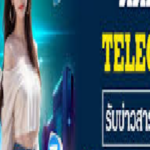 Foto del perfil de online casinothai