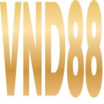Foto del perfil de VND88