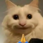 Foto del perfil de shayne6174